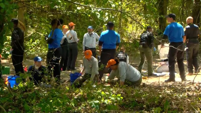 Remains of 3 children found in Memphis woods may have been there several years, police say - CNN