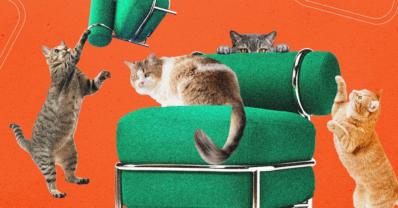 Ikea's New Blow-Up Chair Was Tested by Cats - WIRED