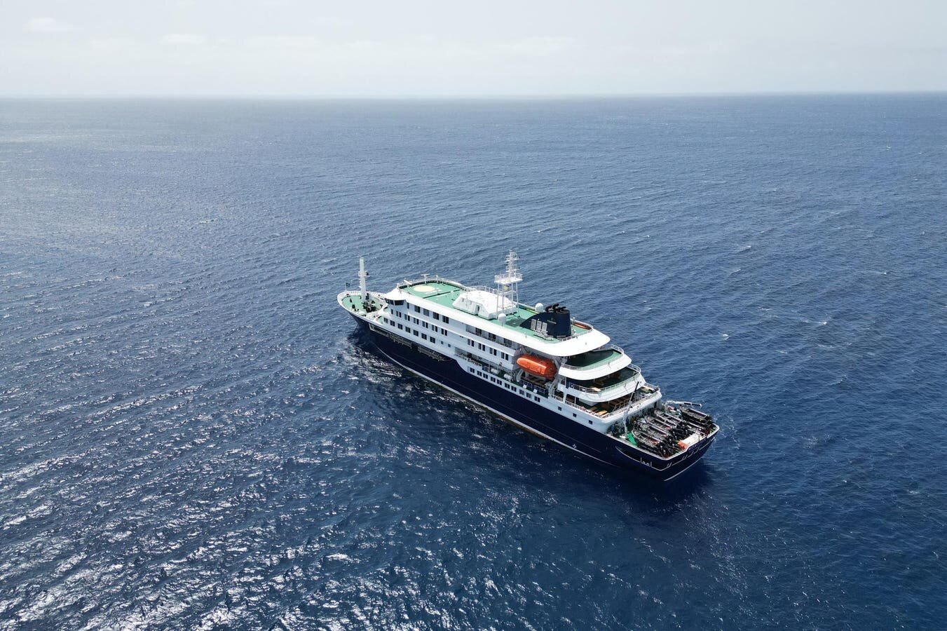 2 Hantavirus Cruise Passengers Are Texas Residents (Live Updates) - Forbes