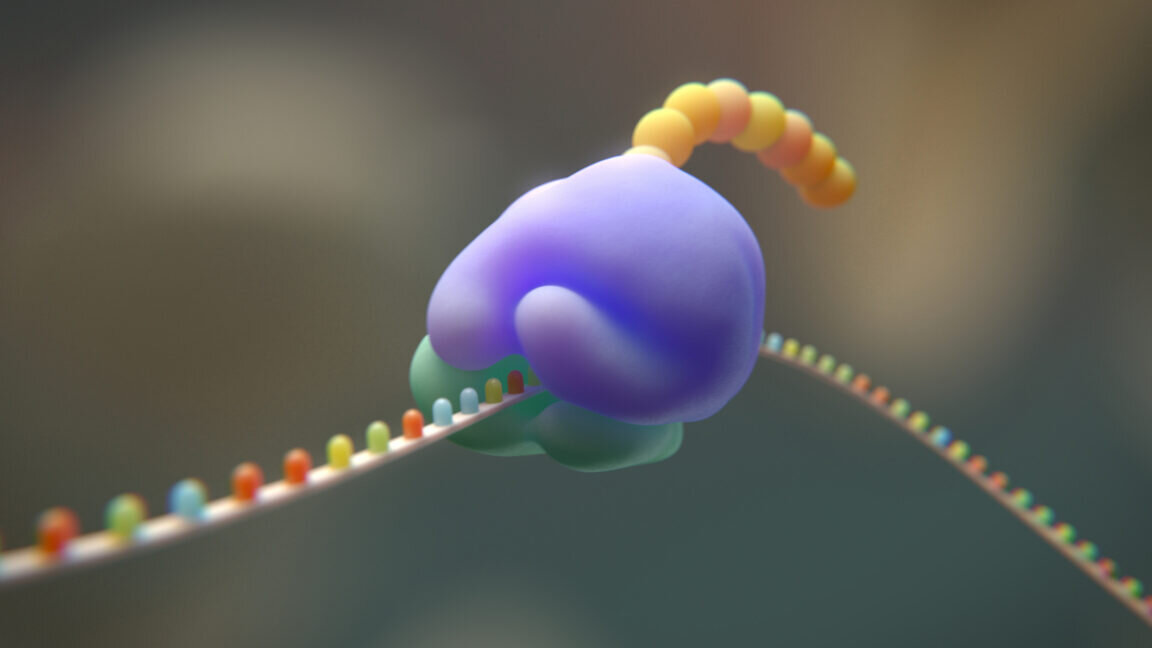 Researchers try to cut the genetic code from 20 to 19 amino acids - Ars Technica