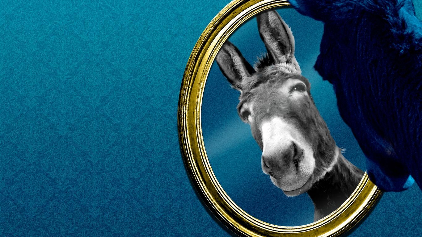Democrats finally release 2024 election autopsy after criticism - Axios