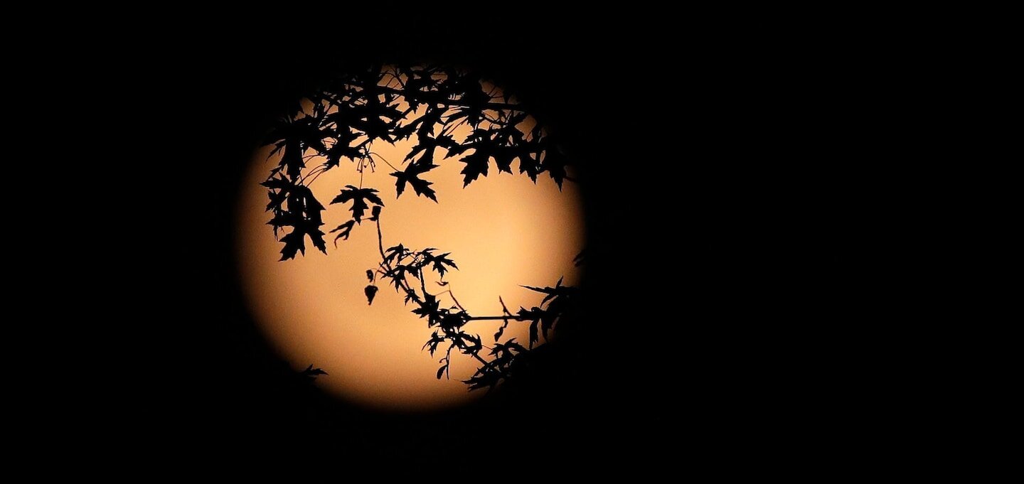 The strawberry moon will soon rise. When to look up. - The Washington Post