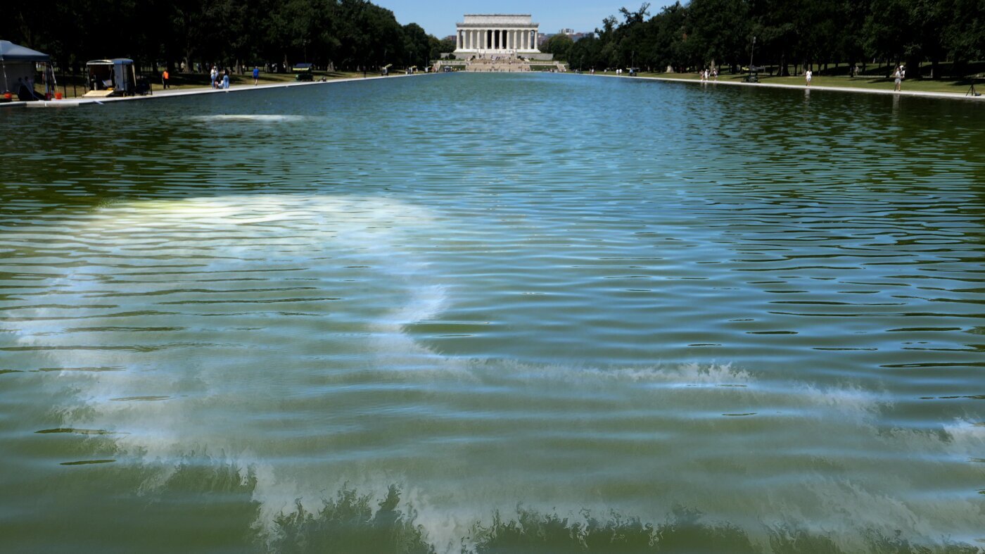 How and why algae clouded Trump's vision for an 'American flag blue' Reflecting Pool - NPR