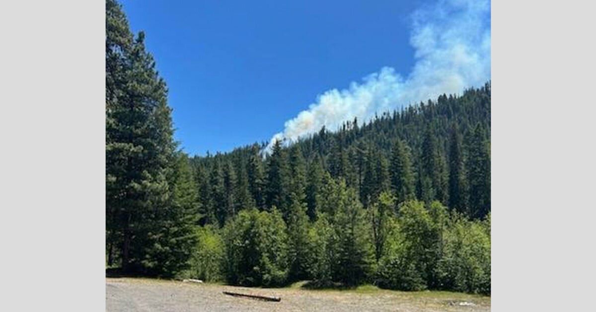 Pilot ejects before fighter jet crashes into mountain in Washington state woodlands - NBC News