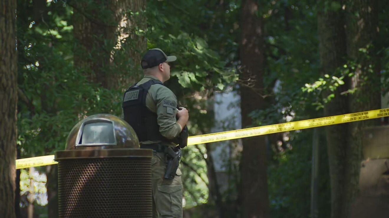 3 dead after small plane crashes at public park in Maryland - WJLA