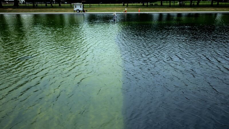 Trump claims Reflecting Pool was vandalized and says law enforcement is investigating - CNN
