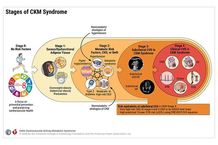 2026 AHA/ACC/ADA/ASN Guideline for the Prevention, Detection, Evaluation, and Management of Cardiovascular-Kidney-Metabolic Syndrome - professional.heart.org