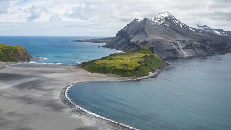 Thousands of baby seals died on two remote sub-Antarctic islands. Scientists now think they know why - CNN