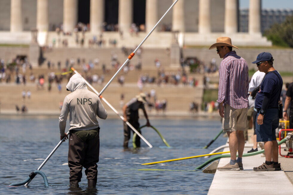 Troubled Reflecting Pool faces fresh scrutiny over vandalism claims and duck deaths - AP News
