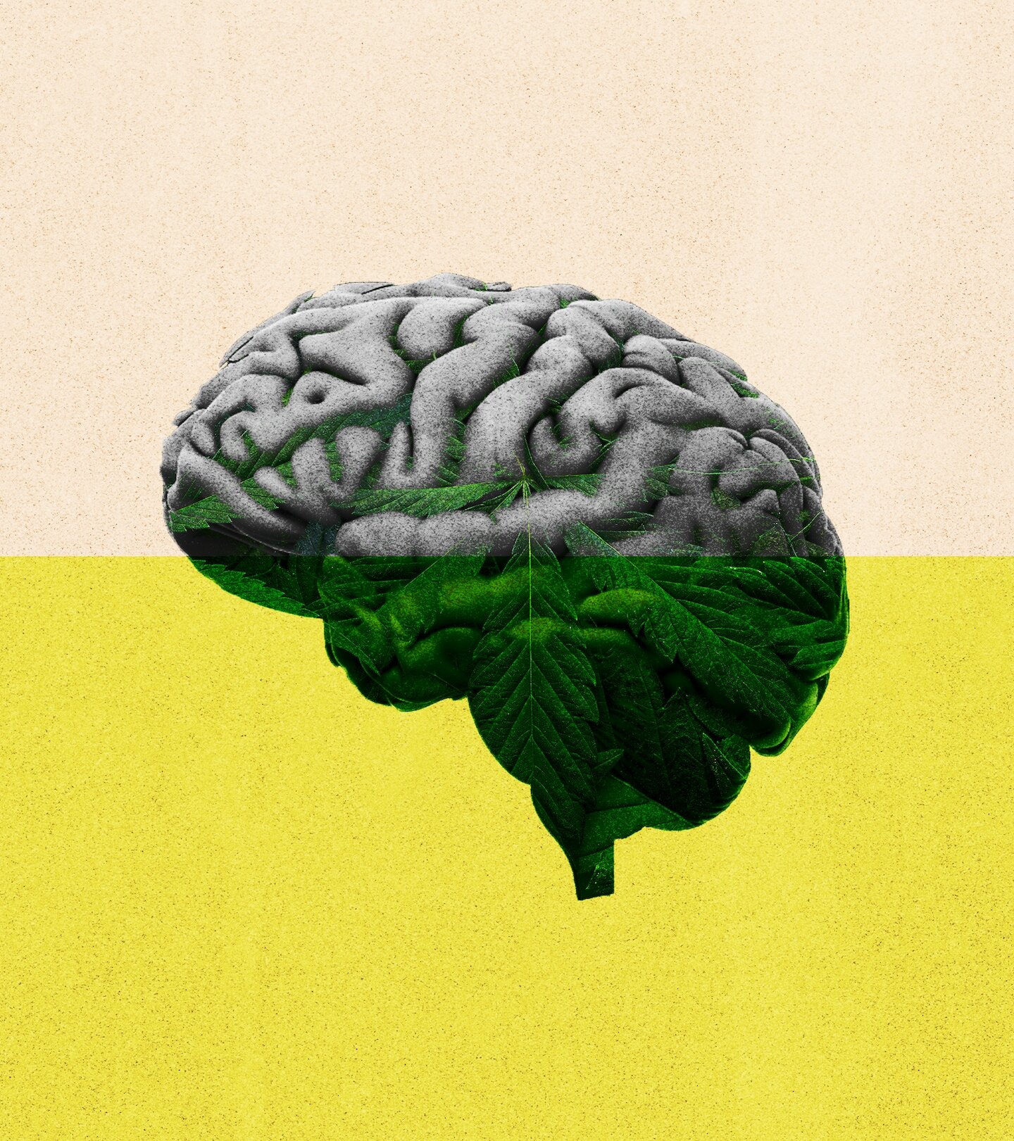 7 unexpected takeaways from the newest research on cannabis and brain effects - The Washington Post