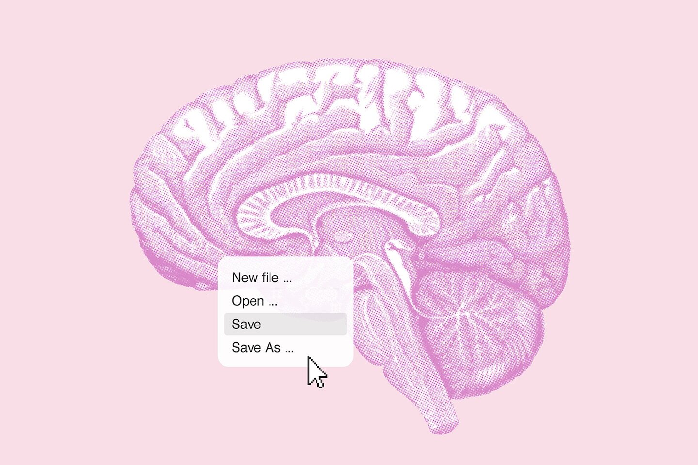 The midlife habits that could make or break your brain health long-term - The Washington Post