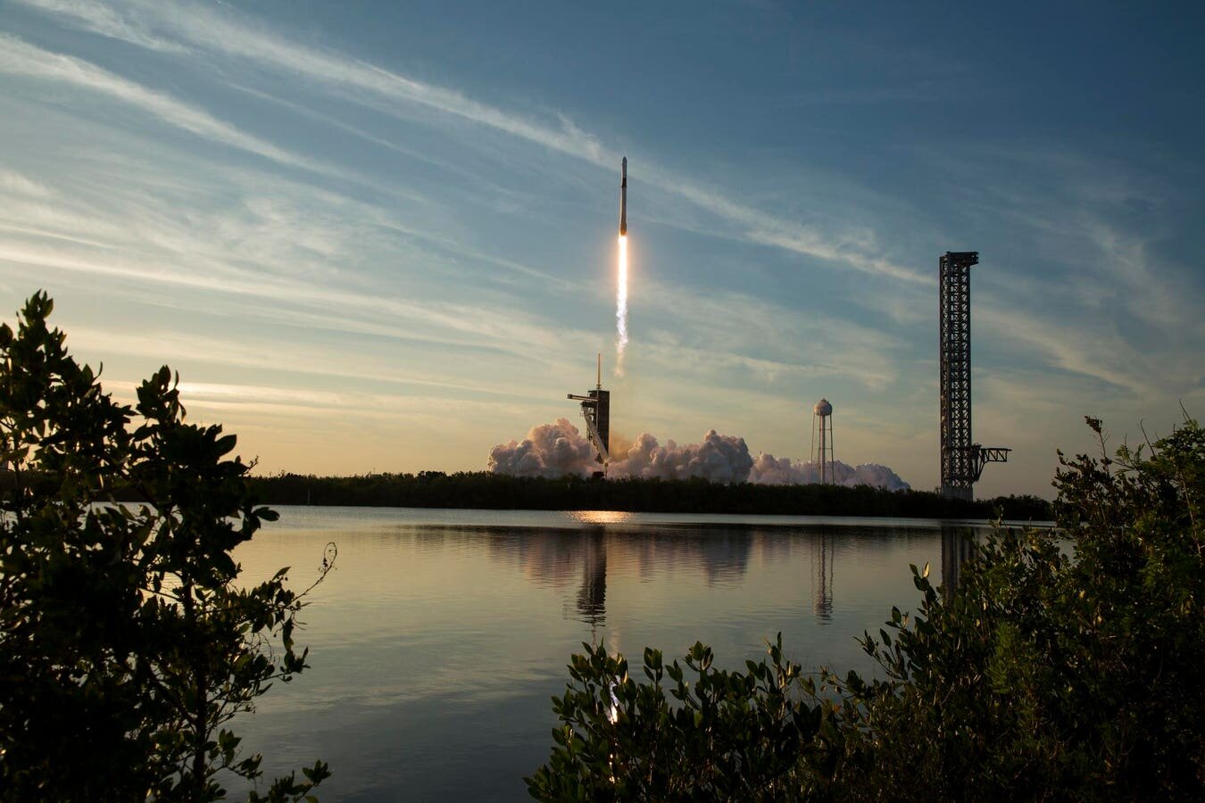 Here’s Why SpaceX Stock Suddenly Took A Dive - Forbes