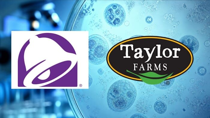 Michigan couple sues Taco Bell, Taylor Farms over Cyclospora outbreak linked to contaminated lettuce - ClickOnDetroit | WDIV Local 4