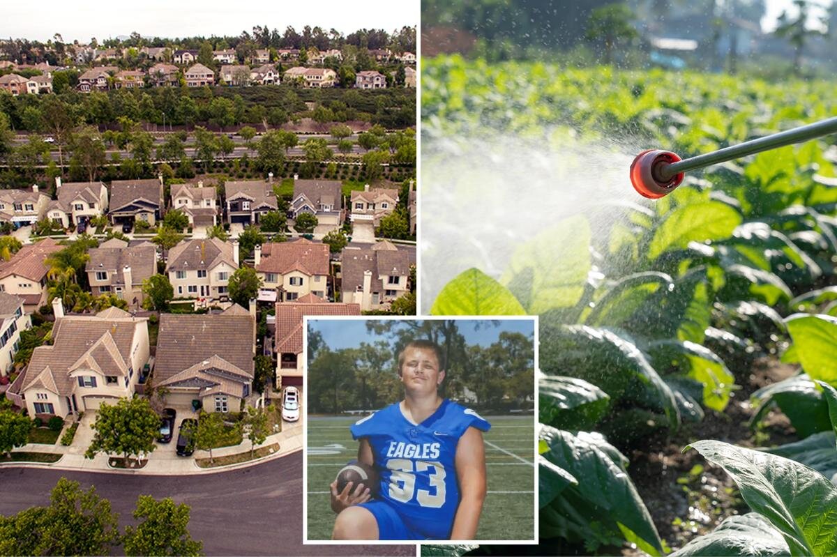 Ritzy SoCal city rocked by rare cancer outbreak suspends use of chemical landscaping products - New York Post