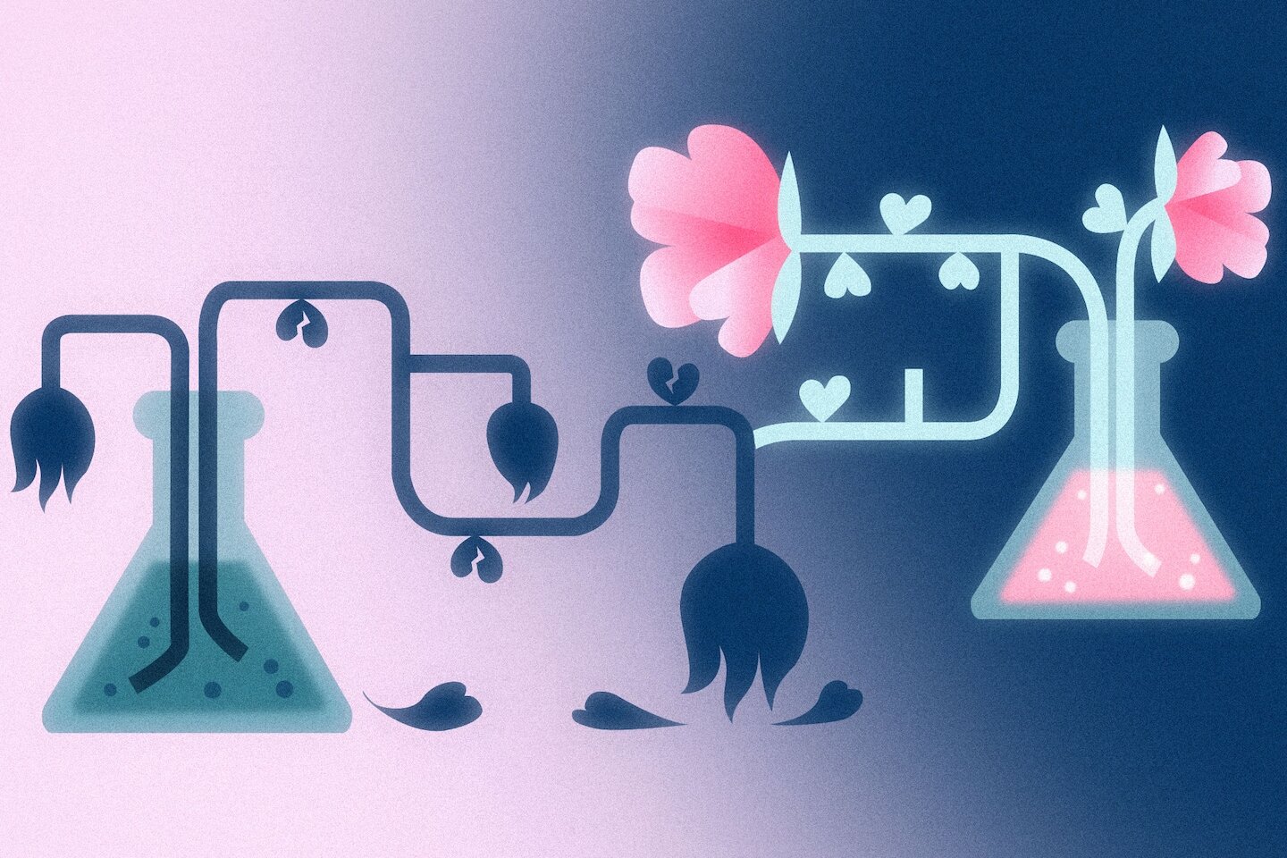 Scientists say this is the reason some relationships flourish and others flop - The Washington Post