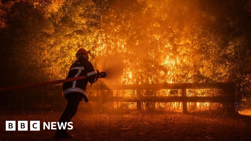 Macron calls crisis meeting as wildfires threaten Bordeaux and heatwave looms - BBC