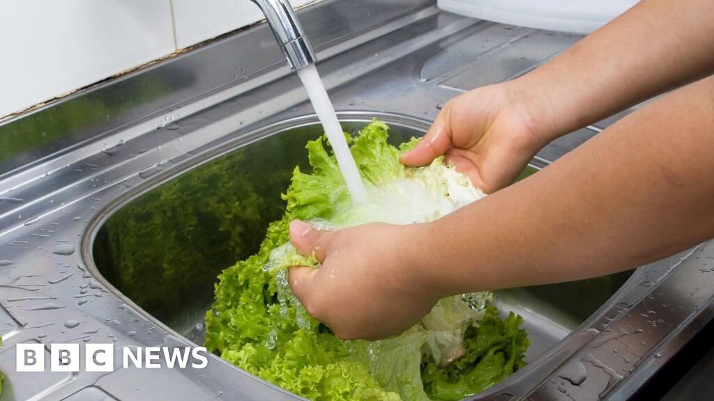 What to know about 'explosive diarrhoea' parasite outbreak in US - BBC
