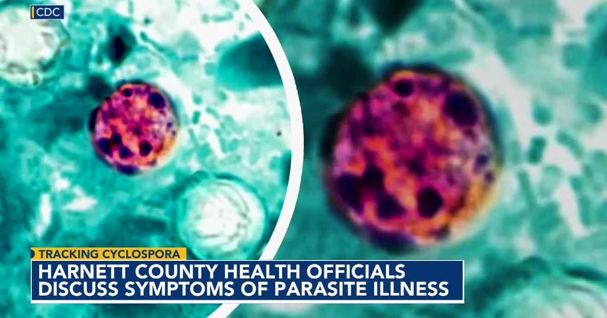 Tracking Cyclosporiasis: 30 more in Wake diagnosed with diarrhea-causing bug - WRAL