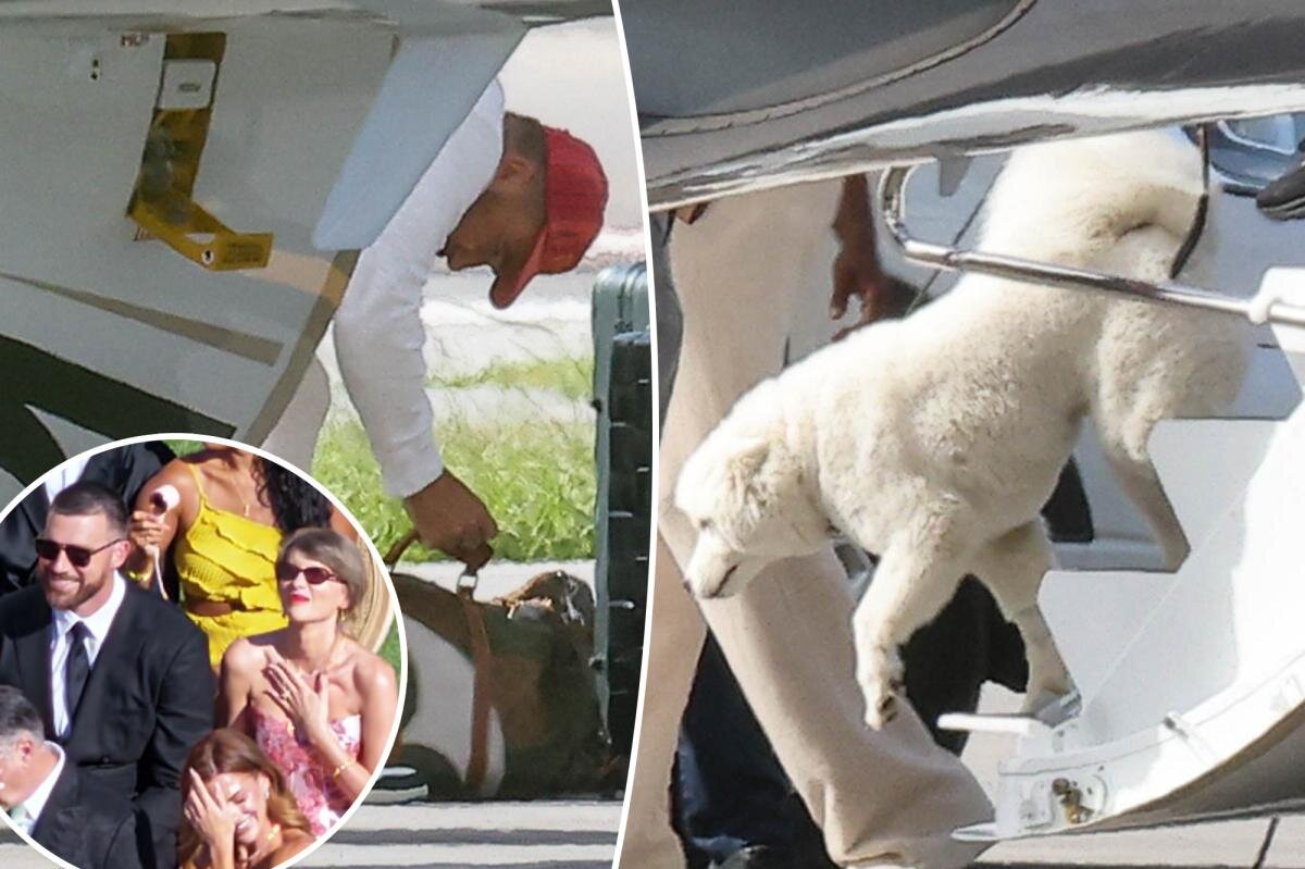 Taylor Swift and Travis Kelce’s mystery dog makes big debut while touching down in Florida - Page Six
