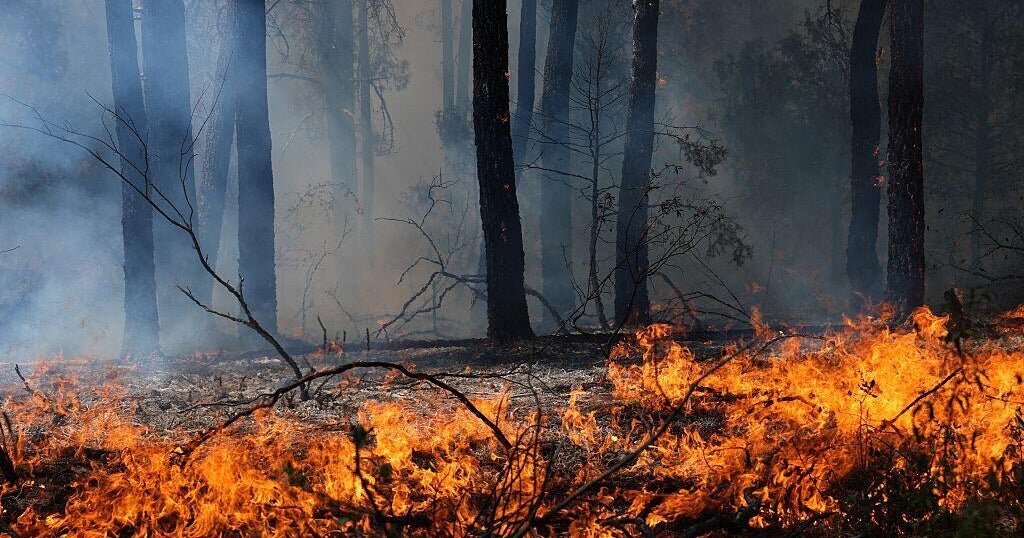 Wildfires in France and Spain force more than 250,000 to flee as crews continue to battle untamed blazes - CBS News
