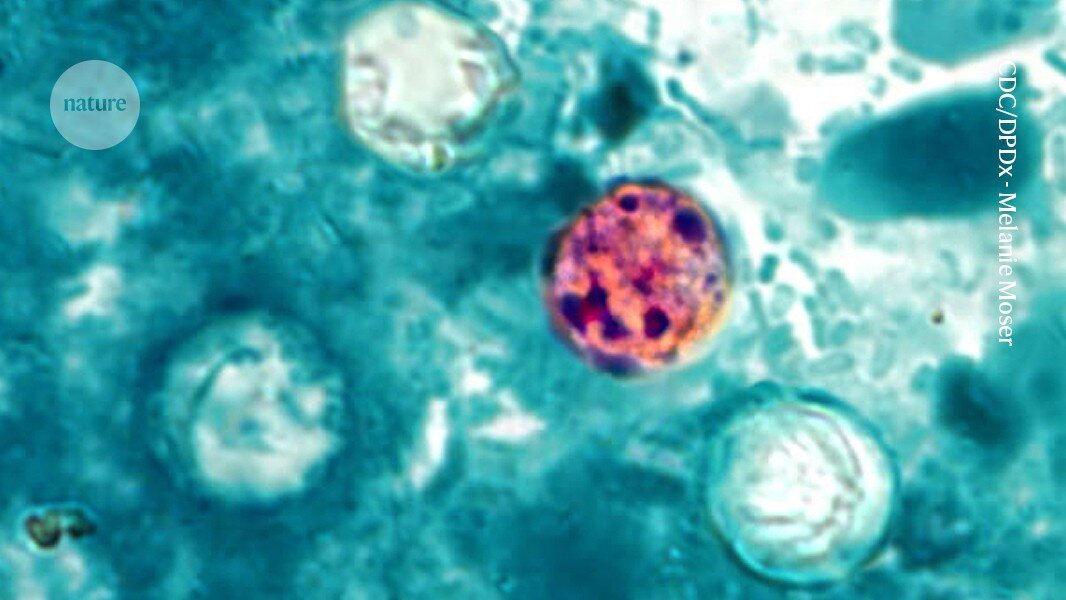 ‘Explosive diarrhoea’ outbreak grips US: how researchers are hunting its source - Nature
