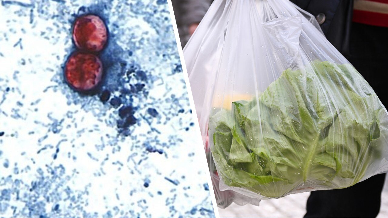 Salad greens, lettuce ‘possible source’ of cyclosporiasis parasite: Officials - NewsNation
