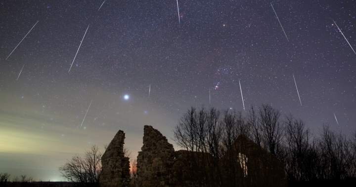 Perseid meteor shower and partial solar eclipse to light up skies next week - Global News