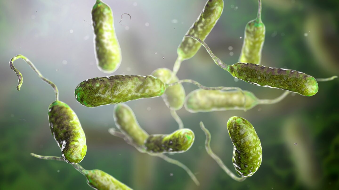Louisiana warns of rise in flesh-eating bacteria infections - The Washington Post
