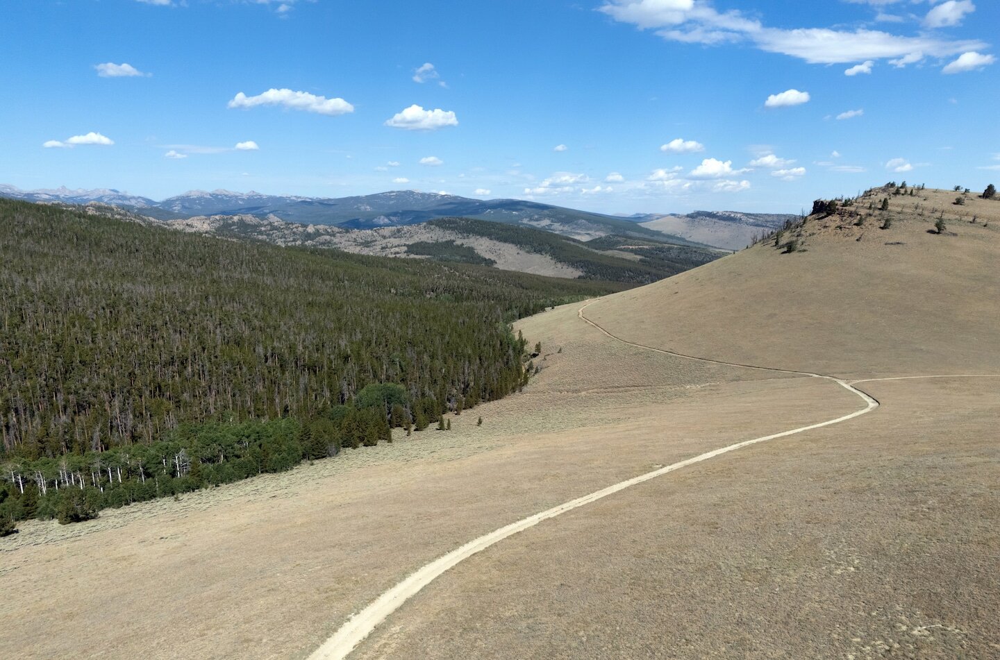 Trump seeks to open millions of acres of national forests to roads - The Washington Post