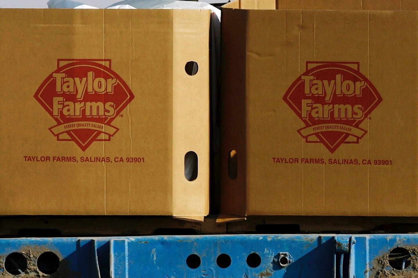 Taylor Farms recalls foods made with jalapeños over salmonella concerns - The Washington Post