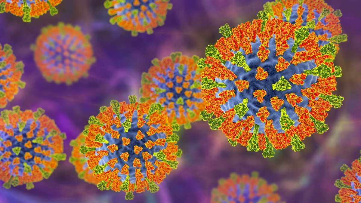Measles outbreak declared in 3 Maryland counties - WBAL-TV