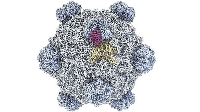 AI creates first synthetic viruses - Financial Times
