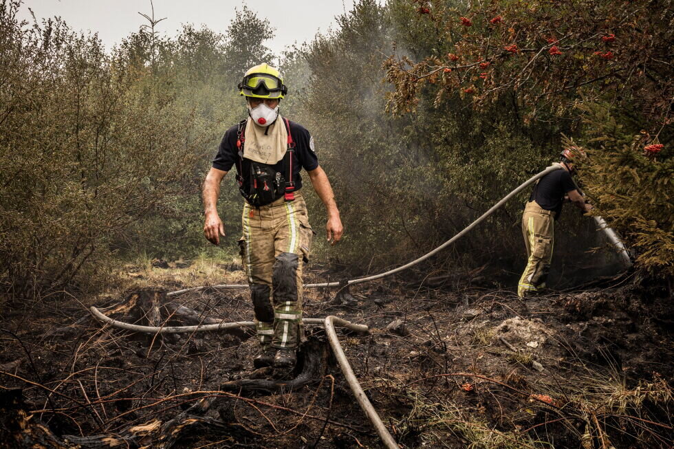 Firefighters battle massive wildfires in Belgium and Greece as 2 die on an island near Athens - AP News