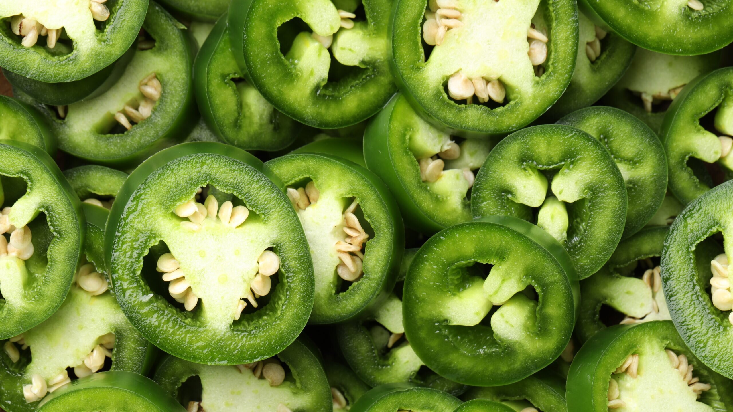 Taylor Farms recalls jalapeño products for Salmonella amid Cyclospora outbreak - Ars Technica