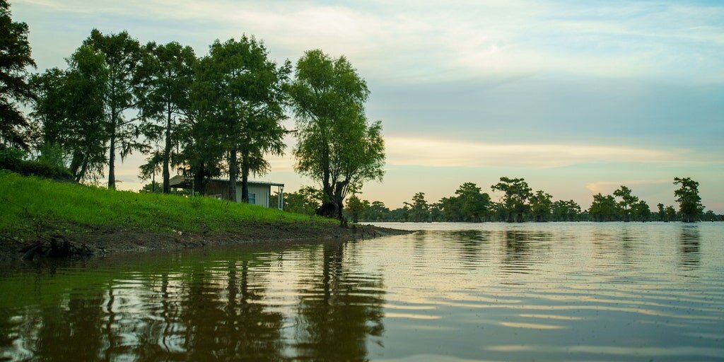 8-year-old girl dies from suspected brain-eating amoeba in Louisiana - FOX Weather