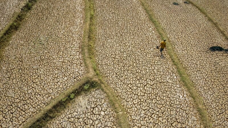 Super-sized El Niño could cause more than 450,000 heat deaths by February, study suggests - CNN