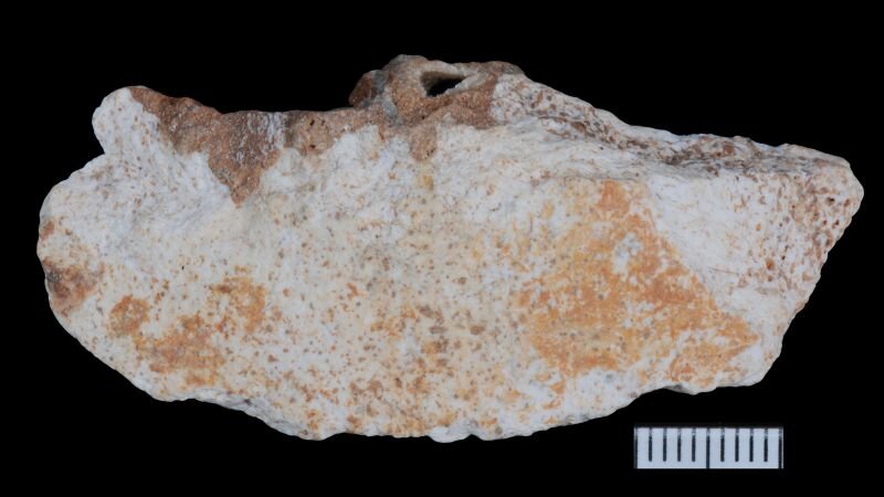 Fossil remains unearthed in China offer new clues about how Denisovans lived - CNN