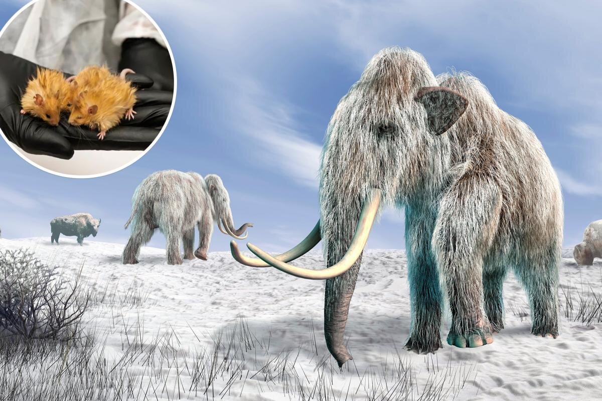 Woolly mammoth to be resurrected with the help of AI: scientists - nypost.com