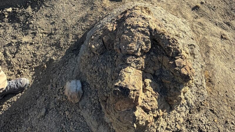 A high school teacher stumbled across two giant footprints — and marked a first for science - CNN