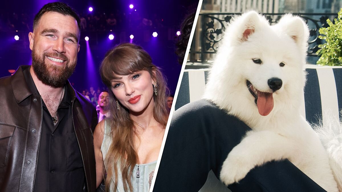 Meet Taylor Swift and Travis Kelce's new dog. She's already a model. - Yahoo