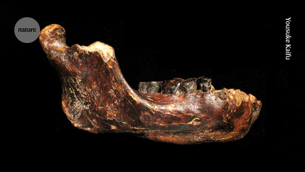 Who were the Denisovans? Rich trove of fossils and tools paints new picture - Nature