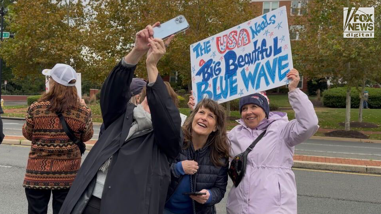 ‘No Kings’ protesters spurn organizers' rules: ‘This is as partisan as you can get’ - Fox News