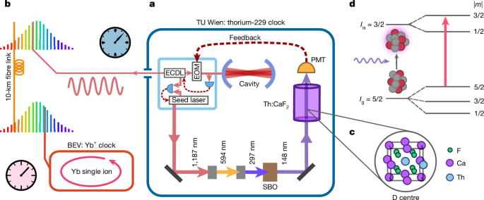 A thorium-229 optical nuclear clock with feedback loop - Nature