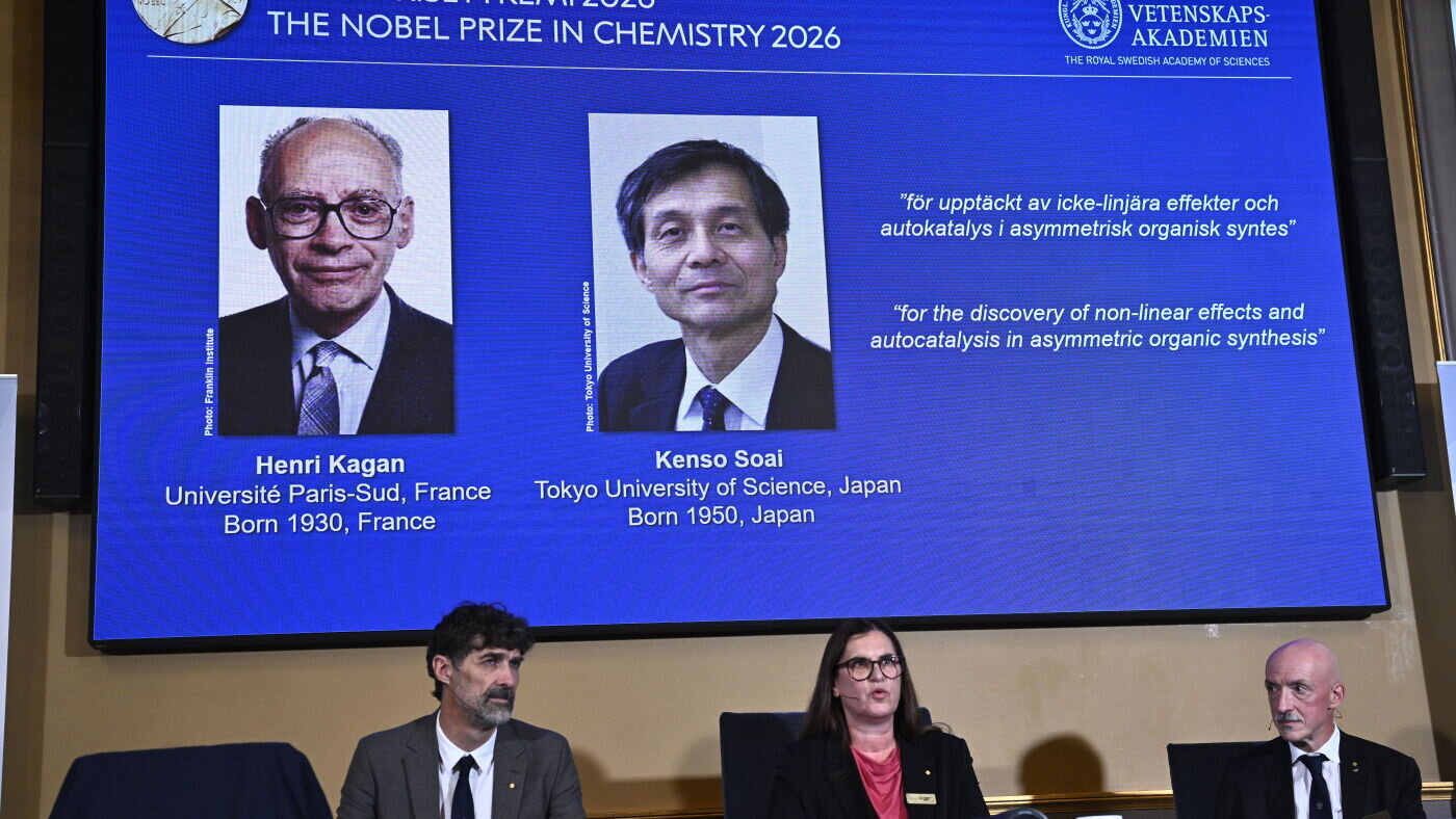 Henri B. Kagan and Kenso Soai win Nobel Prize in chemistry - NPR