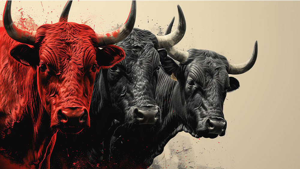 Dow Jones Futures: S&P 500 Hits High As Astera, GE Vernova, Arista Lead Buys, But These Stocks Tumble - Investor's Business Daily
